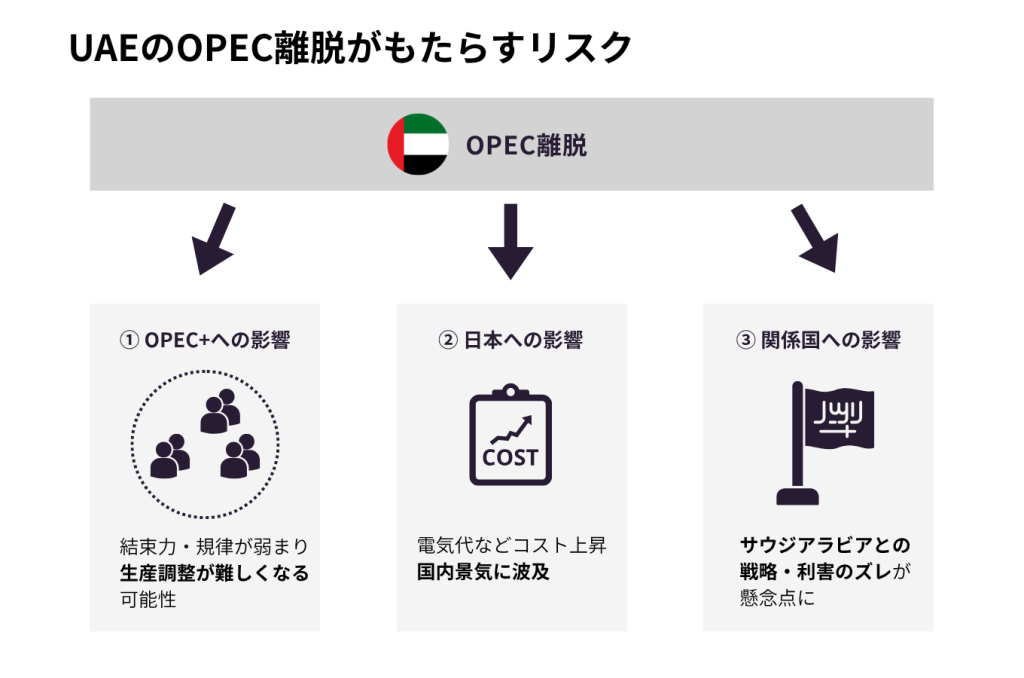 懸念点とリスク